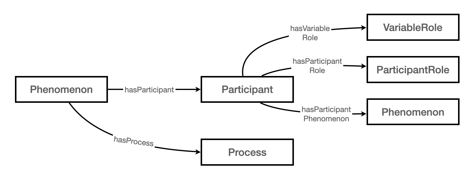 diagram showing how phenomenon is decomposed into participants with participant and variable roles and processes