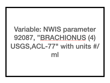 define variable brachionus