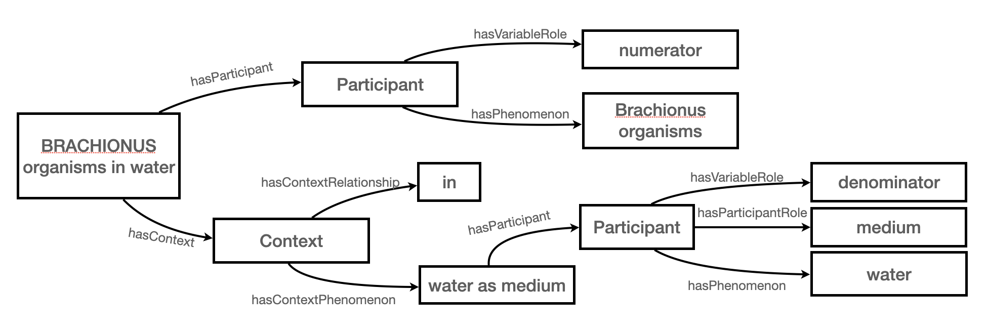 identify participants brachionus