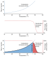 picture of term